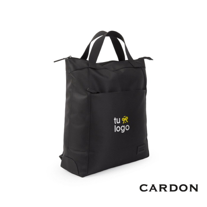 Bolso Limay