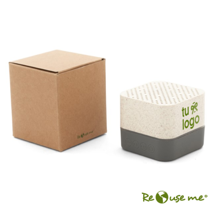 Parlante Wireless Earth
