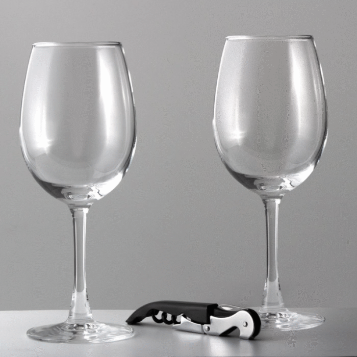 Set de Vino BRINDIS