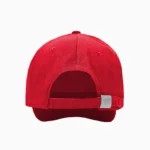 Gorro TAHG 169 c/broche - Imagen 19