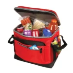Bolso Térmico Coleman Collapsible 40 latas - Imagen 4