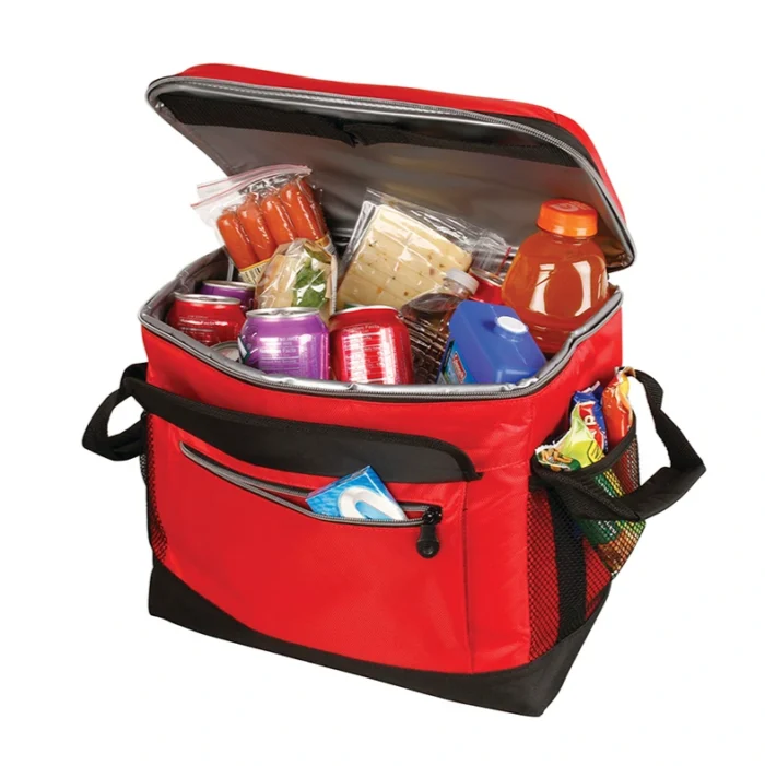 Bolso Térmico Coleman Collapsible 40 latas - Imagen 4